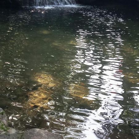 Carvalho De Muriqui Mangaratiba Esterno foto
